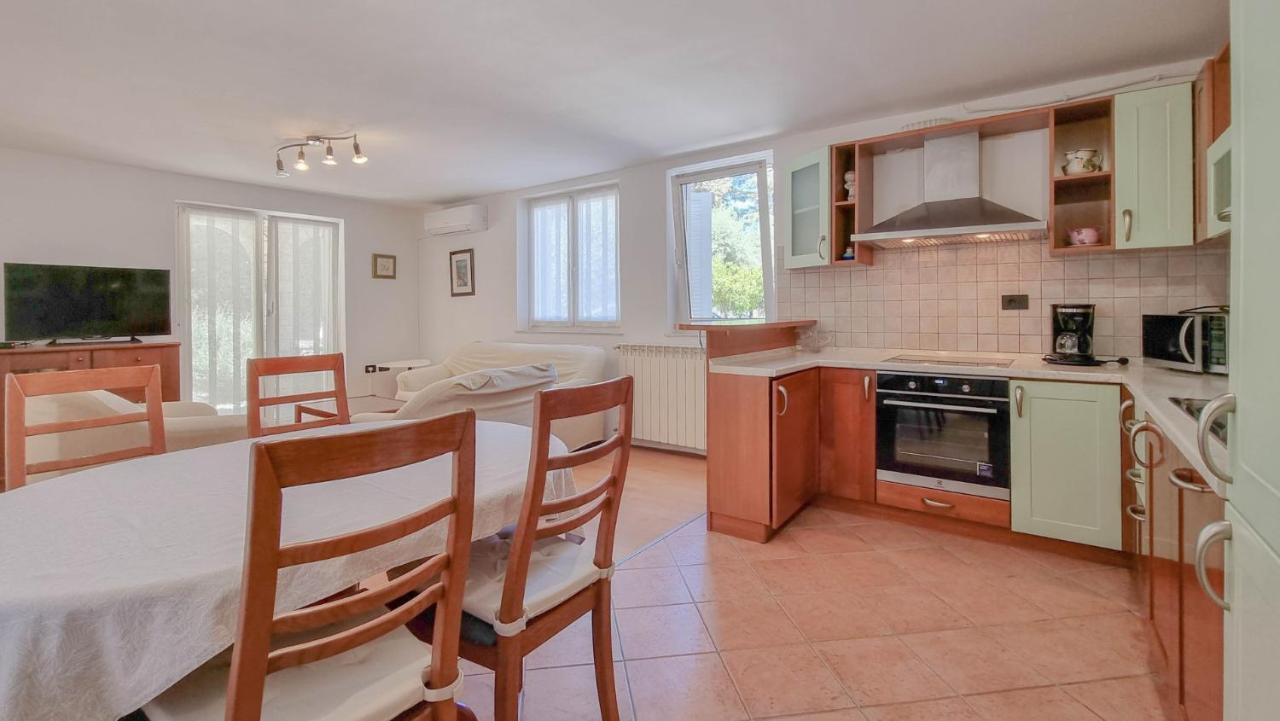 Apartament Ena Novigrad  Zewnętrze zdjęcie